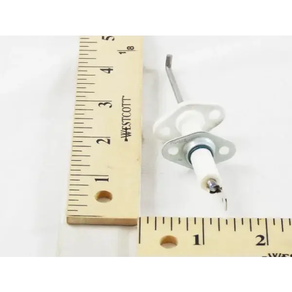 Hot Picks Lochinvar & A.O. Smith 100165859 - FLAME SENSOR WITH GASKET