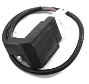 Lochinvar & A.O. Smith 100208619 - Wire Harness Gas Valve Time-Limited
