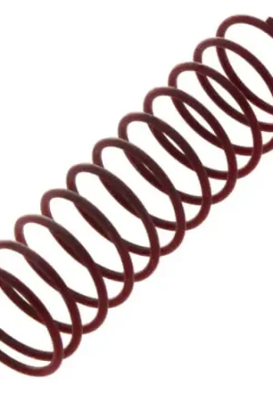 Discount Maxitrol R6110-1022 Red Spring 10-22 Inch for RV61 Regulators