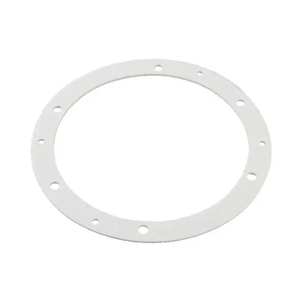 Laars R2002400 Burner Gasket Instant Buy