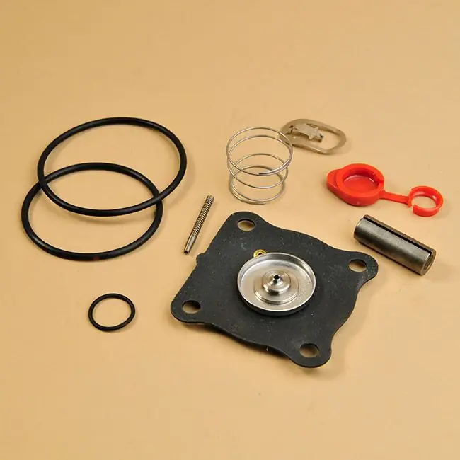 Next Day Delivery Asco 160-130 - Repair Kit - Each