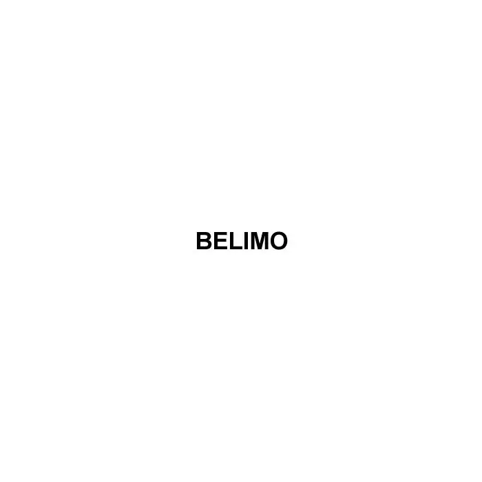 Low Price Belimo B249+AFRB24-SR 2-Way CCV SS Trim Spring Return 24V Modulating