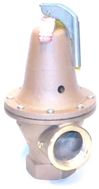 Watts 278030 RELF 3,815,000BTU Buy Online