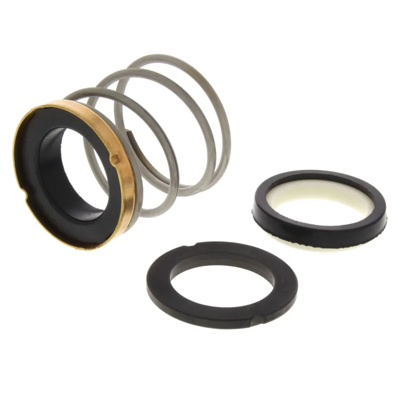 Get Yours Bell & Gossett 186862LF Seal Kit, Buna-N Elastomers, Carbon Primary Ring, Ceramic Mating Ring