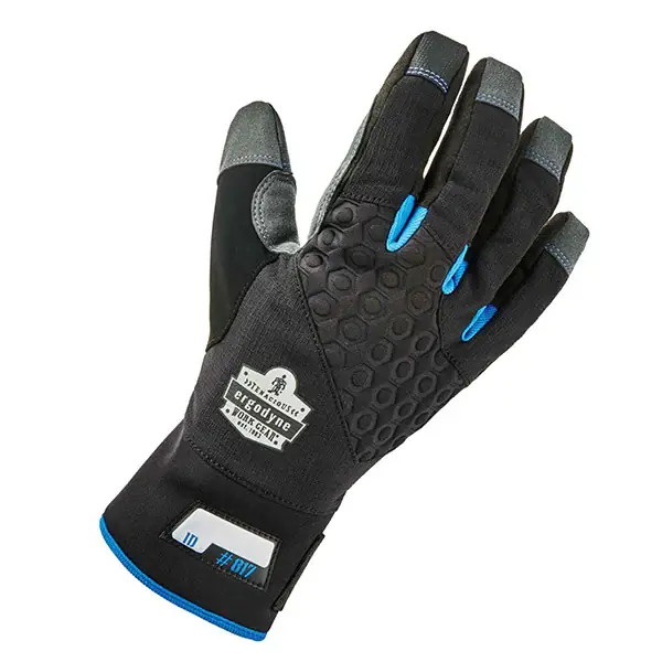 Shop Now Ergodyne 17354 ProFlex 817 Reinforced Thermal Utility Gloves X-Large Black 1/Pair