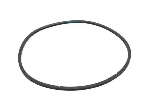 Pentair 350166 EQ Series Pump Lid Gasket Best Price