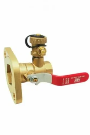 Buy Direct RED-WHITE VALVE CORP 2412 1-1/4 FNPT PUMP FLANGE BALL W/DRAIN