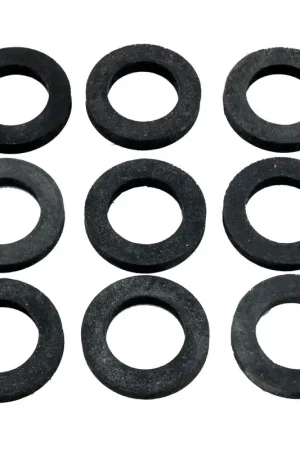 Buy Today Raypak 800014B Gasket Kit for Heat Exchanger Black 9 Pack 3/4 Inch Inside Diameter Flat