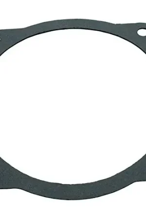 Val-Pak 91500100 Gasket AquaFlo A Series Seal Plate Latest