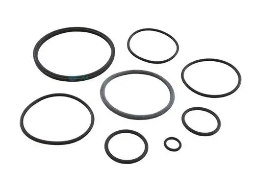 Trusted Brand Zodiac R0502500 O-Ring Kit for Nature2 Fusion Soft Water Sanitizers