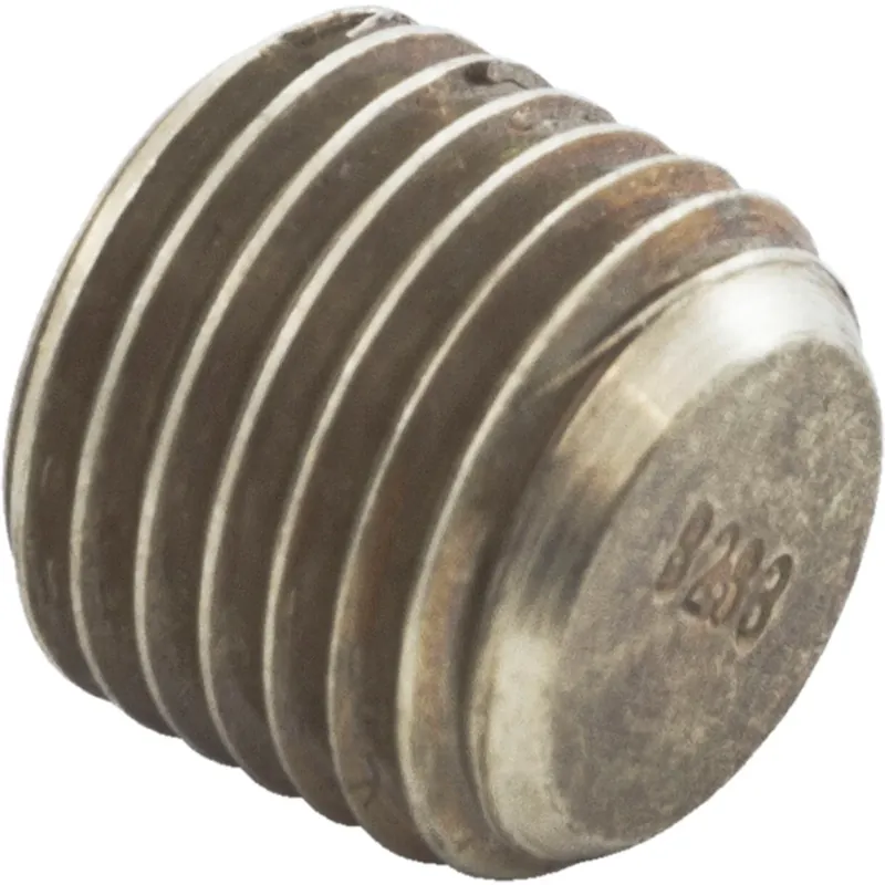While Supplies Last Raypak 501329 Header Plug