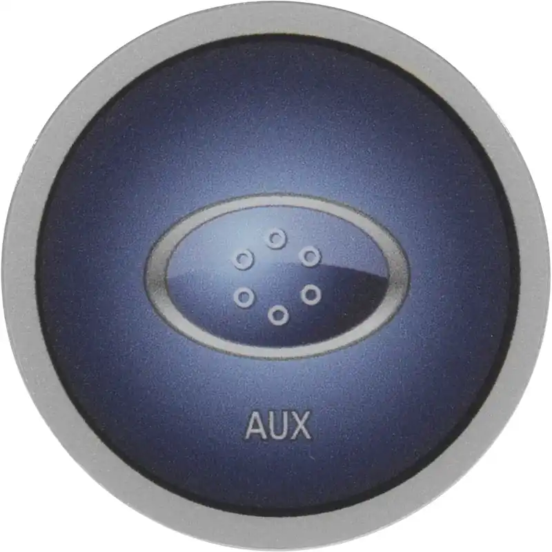 Balboa Water Group 12107 Overlay, Auxiliary, AX10 New Arrival