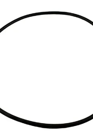 While Supplies Last Waterway 805-0000 Crystal Water O-Ring