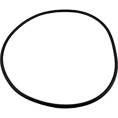 While Supplies Last Waterway 805-0000 Crystal Water O-Ring