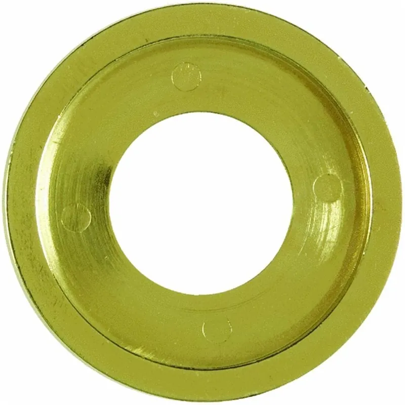 Authentic Lochinvar 100163054 FLANGE, GAS VALVE W/O-RING