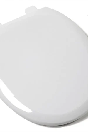Big Sale Jones Stephens C1606S00 Comfort Round Closed Front with Cover Toilet Seat in White