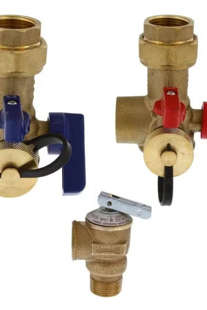 Jones Stephens D05101 3/4 in. Sweat Valve Service Kit with Pressure Relief Valve Final Sale
