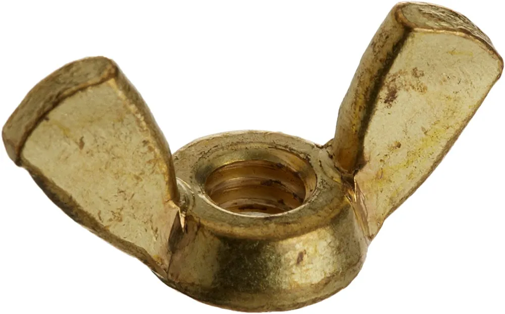 Premium Pentair 35402-0074Z Wing Nut Kit 1/4-20