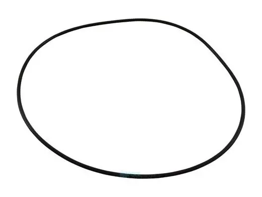 Waterway Plastics 805-0268 O-Ring Booster Pump Bargain