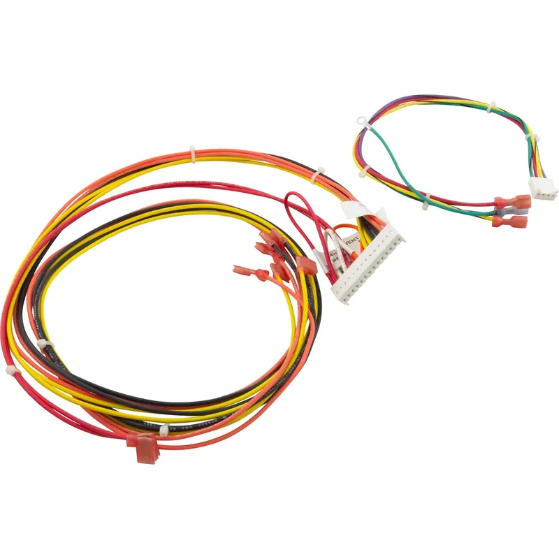 Raypak 014885F Wire Harness Digital for 156A Next Day Delivery