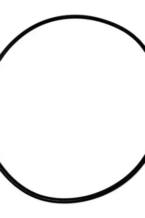 Paramount 005-302-0100-00 Base O-Ring for Water Valves & Modules New Release