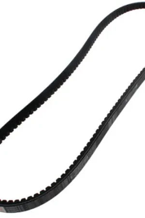 Fresh Stock Browning BX48 TorqTitan Gripnotch Belt 49.8 Inch Pitch
