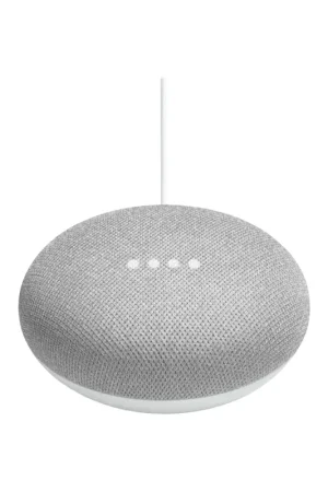 Google WNGOGA210US Speaker, Home Mini Smart, White Don't Miss Out