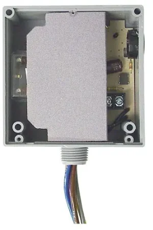 Functional Devices RIBT24P Relay DPDT 20A 24VAC/DC Professional Grade