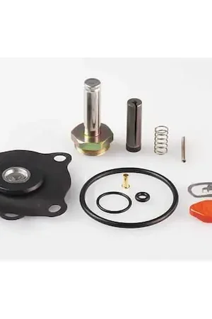Bargain ASCO 302378 Solenoid Valve Rebuild Kit